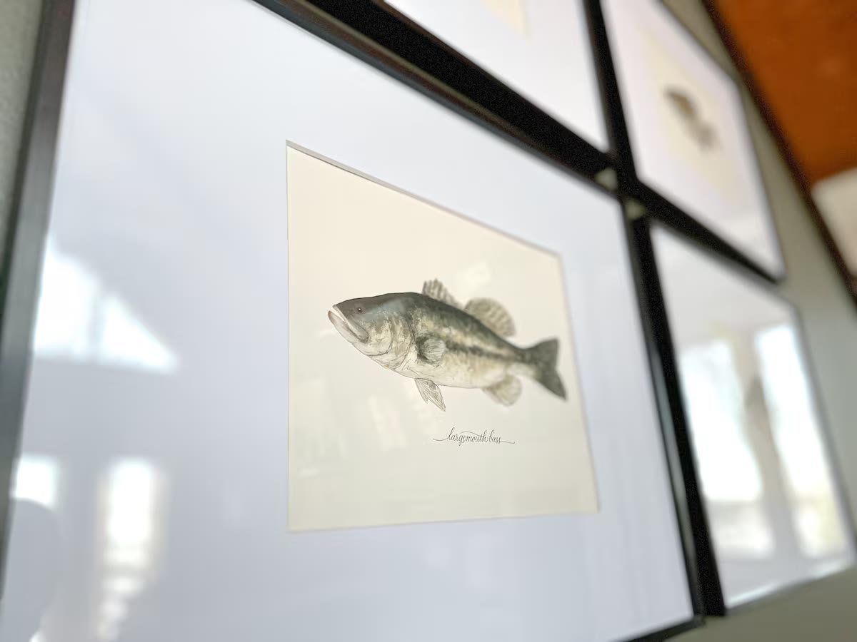 The Angler's Canoe Lake House guest amenities at a direct-booking vacation rental in Cedar Bluff, Alabama